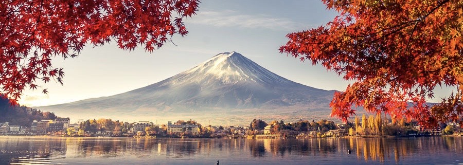 【東京橫濱】天晴號、富士山暸望纜車、迪士尼樂園5日