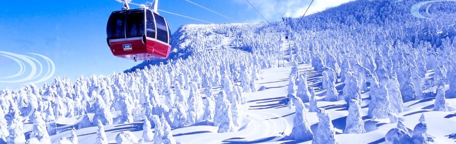 雪花飛舞～東北藏王纜車+會津鐵道+銀山溫泉+狐狸村三晚溫泉五日