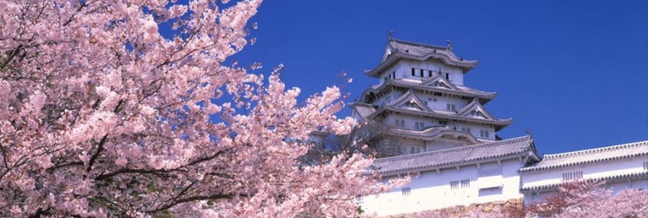 自由行首選｜機票・住宿・全搞定